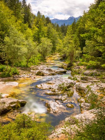 Téléchargez les photos : Belle crique de Mostnica à Korita Mostnica, Parc national du Triglav, Slovénie. - en image libre de droit