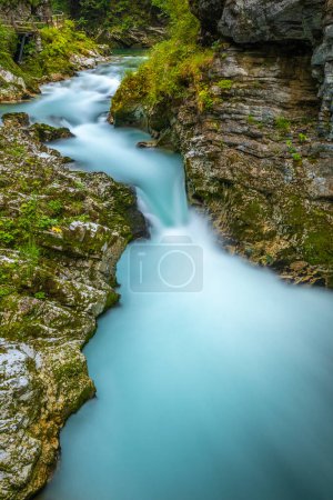 Téléchargez les photos : Vue imprenable sur la rivière Radovna colorée dans les gorges de Vintgar, Slovénie. Longue exposition. - en image libre de droit