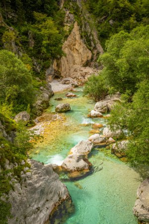 Téléchargez les photos : Vallée vive de la Soca turquoise près de Bovec dans le Parc National du Triglav, Alpes Juliennes, Slovénie Europe. - en image libre de droit