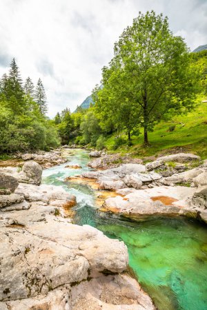 Photo for Vivid turquoise Soca river valley near Bovec in Triglav National Park, Julian Alps, Slovenia, Europe. - Royalty Free Image