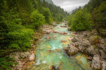 Téléchargez les photos : Vallée vive de la Soca turquoise près de Bovec dans le Parc National du Triglav, Alpes Juliennes, Slovénie, Europe. - en image libre de droit