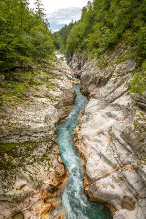 Foto de Valle vivo del río Soca de color turquesa cerca de Bovec en el Parque Nacional de Triglav, Alpes Julianos, Eslovenia, Europa. - Imagen libre de derechos