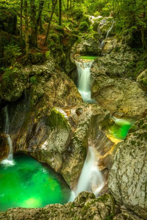 Photo for Beautiful water cascades or small waterfall in the valley of Lepena in Slovenian Julian Alps. Emerald green waterfalls in an enchanted forest. - Royalty Free Image