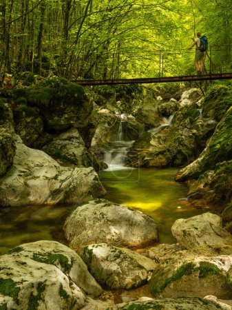 Téléchargez les photos : Belles cascades d'eau ou petite cascade dans la vallée de Lepena dans les Alpes juliennes slovènes. Cascades vert émeraude dans une forêt enchantée. - en image libre de droit