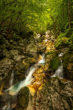 Photo for Beautiful water cascades or small waterfall in the valley of Lepena in Slovenian Julian Alps. Emerald green waterfalls in an enchanted forest. - Royalty Free Image