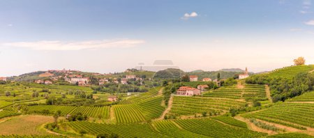 Goriska Brda a famous wine region of Slovenia located near Italy with the villages Smartno and Dobrovo. Sunrise and sunset looking over vineyards.