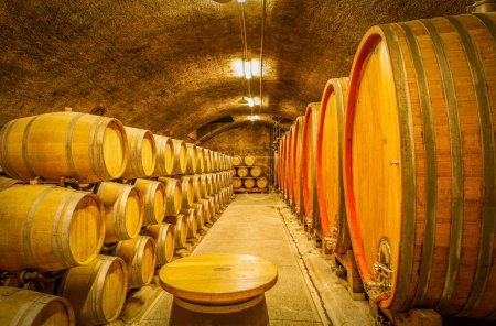 Téléchargez les photos : Cave voûtée à température constante avec fûts de chêne barrique français pour vieillir le vin à Klet Brda, Dobrovo, Slovénie. - en image libre de droit