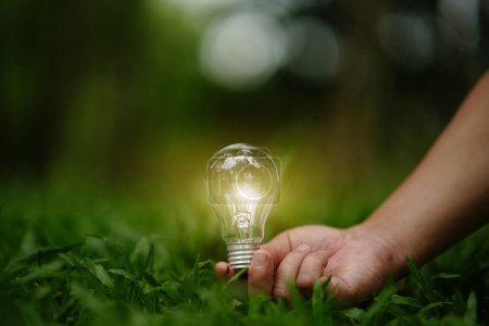 Téléchargez les photos : Ampoule Économie d'énergie vert nature fond - en image libre de droit