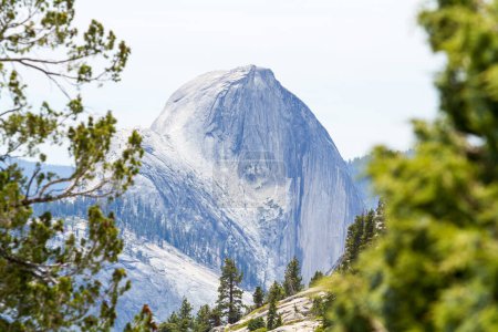 Photo for Forest, mountains, pine trees, nature's beauty, serene day, untouched wilderness, sneak peek. Half Dome Yosemite National Park California - Royalty Free Image