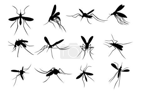 Illustration for Set of Mosquito Silhouette Logo Template Design Vector, Emblem, Design Concept, Creative Symbol, Icon - Royalty Free Image