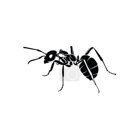 Illustration for Ant Logo Template Design Vector - Royalty Free Image