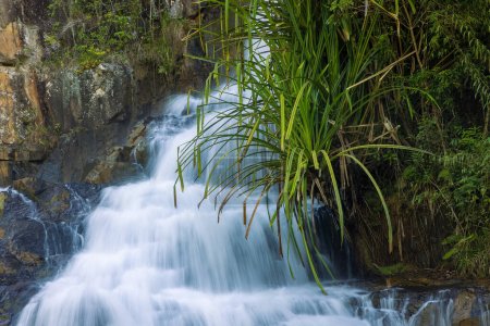 Foto de Datanla waterfall near Dalat, Vietnam - Imagen libre de derechos