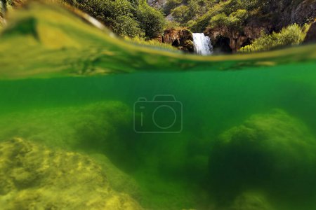 Téléchargez les photos : Vue sous-marine de la rivière Krupa avec rochers de tuf - en image libre de droit