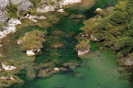 Téléchargez les photos : Végétation des zones humides et rochers sur la rivière Krupa, Croatie - en image libre de droit