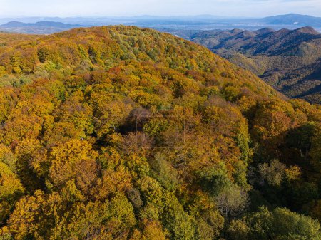 Foto de Vista aérea del bosque de hayas en otoño, Samoborsko gorje, Croacia - Imagen libre de derechos