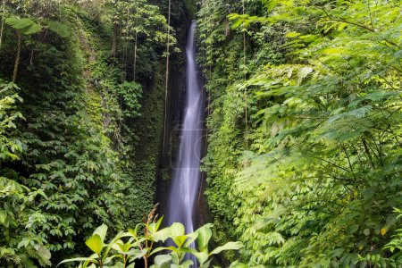 Leke Leke waterfall in lush tropical forest, Bali, Indonesia