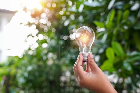Hand holding light bulb against nature, icons energy sources for renewable,