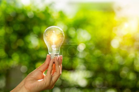 Photo for Hand holding light bulb against nature, icons energy sources for renewable, - Royalty Free Image