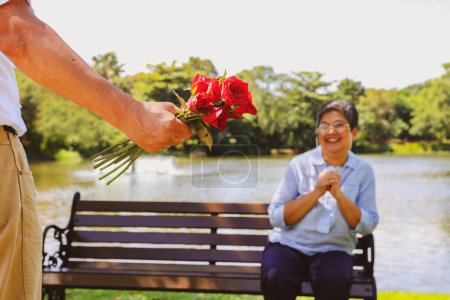 Senior asian couple's wedding lasting love anniversary surprise : Elderly husband hides red rose behind his back give to his beloved wife park bench extending his arms to receive the rose with joy.