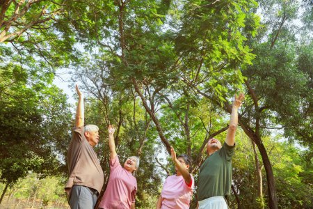 Cheerful group asian elderly people retirees in good health happiest doing recreational activities playing sports exercising having fun shady garden in the morning good mood and good mental health.
