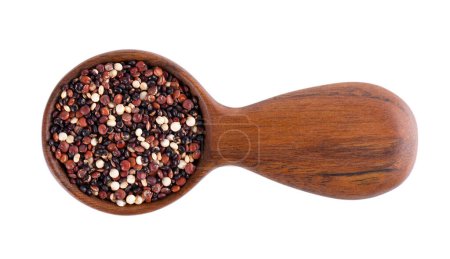 Foto de Semillas de quinua en cuchara de madera, aisladas sobre fondo blanco. Mezcla de quinua blanca, roja y negra. Vista superior - Imagen libre de derechos