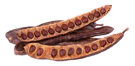 Ripe carob pods and bean isolated on white background