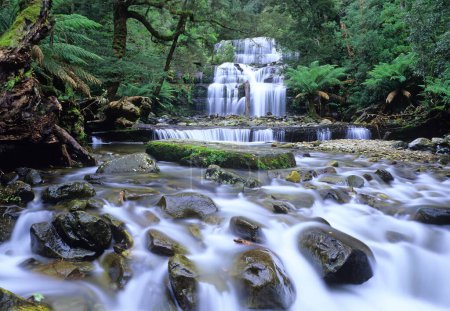 Téléchargez les photos : Waterfall and stream in a jungle - en image libre de droit