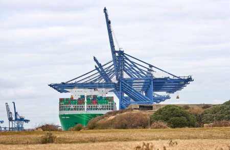 Téléchargez les photos : Bulk container ship being loaded at Felixstowe docks, Suffolk, UK - en image libre de droit