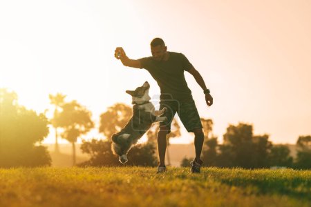 Téléchargez les photos : Jeune homme jouant avec cardigan merle bleu heureux Welsh Corgi en plein air au coucher du soleil. Concept de chien et propriétaire. Photo de haute qualité - en image libre de droit