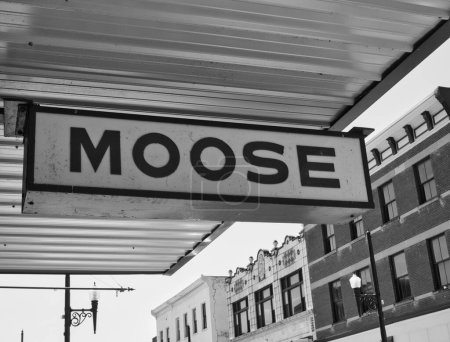 Foto de Cartel de Moose Lodge en Vanceburg Ky Estados Unidos 2023 - Imagen libre de derechos