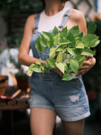 Téléchargez les photos : Une femme jardinière de plantes sur un balcon, nourrissant la vie verte dans un environnement urbain - en image libre de droit
