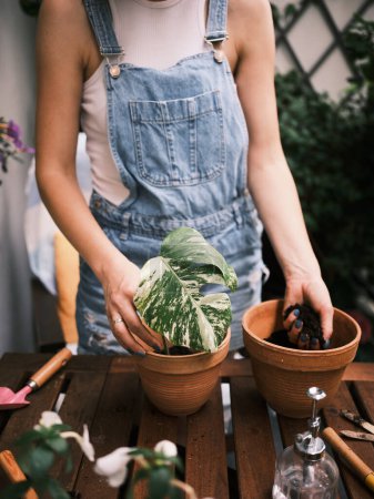 Foto de Una mujer cultivando un huerto planta en un balcón, alimentando la vida verde en un entorno urbano - Imagen libre de derechos