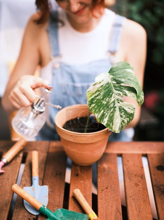 Hände vernebeln eine gerade eingetopfte Blattpflanze mit einer Sprühflasche zwischen Gartengeräten