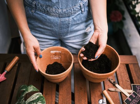 Téléchargez les photos : Mains soigneusement placer la terre dans des pots, préparation pour la plantation sur une table en bois - en image libre de droit