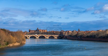 The Garonne river and the Pont Neuf in Toulouse, Haute Garonne, Occitanie, France
