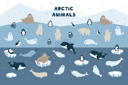 Vector gran conjunto de animales árticos y elementos de invierno. Lindo pingüino, oso polar, foca de piel, morsa, ballena asesina, narval y beluga