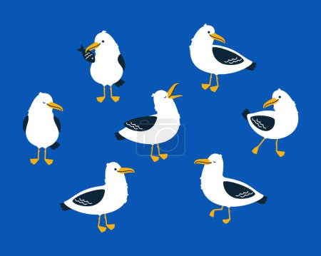 Photo for Cute seagull characters set. Isolated on a blue background. Cartoon hand drawn vector illustration. - Royalty Free Image