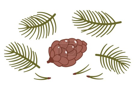 Photo for Set of vector illustrations of pine cones, conifer branches and needles isolated on a white background - Royalty Free Image
