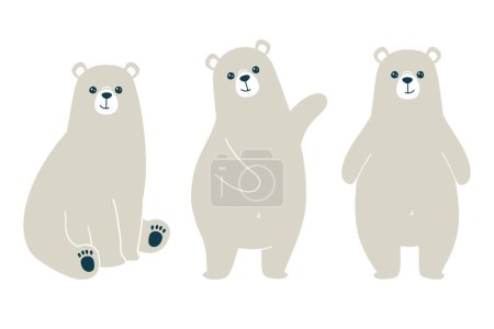 Photo for Vector illustration of a cute polar bears. Isolated on white background - Royalty Free Image