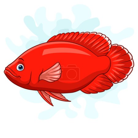 Illustration for Cartoon Super red Oscar fish on white background - Royalty Free Image