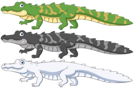 Crocodile collection set on white background