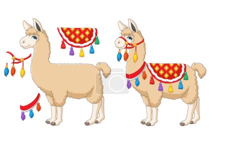 Cartoon funny llama on white background
