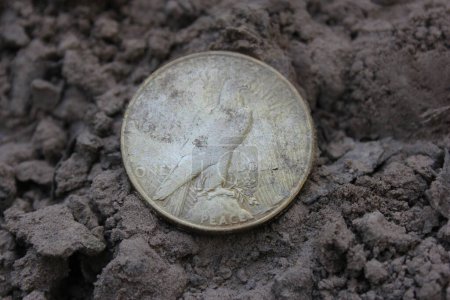 Foto de 1922 Silver Peace Dollar On Ground in Dirt (en inglés). Atrás - Imagen libre de derechos