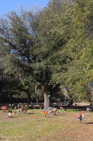Foto de Cementerio Memorial Park ubicado en Tyler Texas - Imagen libre de derechos