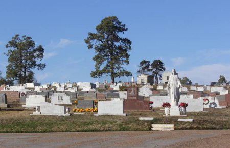 Foto de Tyler TX - 4 de enero de 2024: lápidas históricas en el cementerio Rose Hill ubicado en Tyler Texas - Imagen libre de derechos