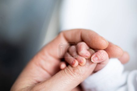 Téléchargez les photos : Main du nouveau-né qui vient de naître tenant le doigt de la main de son père. - en image libre de droit