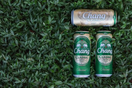 Foto de Chiang Mai Tailandia 12 octubre 2020 La cerveza Chang enlatada se coloca en un césped con hermoso follaje en el fondo y la cerveza Chang enlatada es una cerveza popular para fiestas y está abierta fácil de beber.. - Imagen libre de derechos