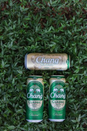 Foto de Chiang Mai Tailandia 12 octubre 2020 La cerveza Chang enlatada se coloca en un césped con hermoso follaje en el fondo y la cerveza Chang enlatada es una cerveza popular para fiestas y está abierta fácil de beber.. - Imagen libre de derechos