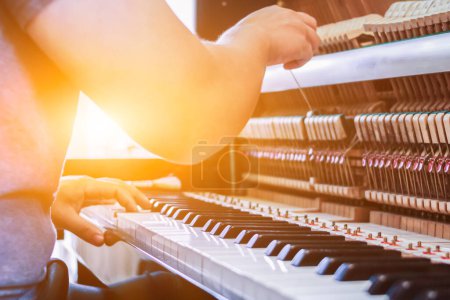 Photo for Soft Focus and Blur,The pianist is fixing and adjusting the sound of the piano correctly and precisely so that the practice and performance of the piano will be melodious and without glitches. - Royalty Free Image