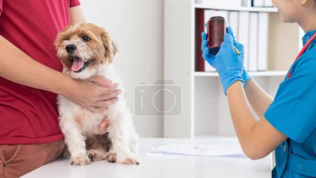 veterinarian recommends tonics dog owner help nourish body after annual health examination search for diseases may occur with pets. Annual health examination concepts for pets and tonics veterinarians